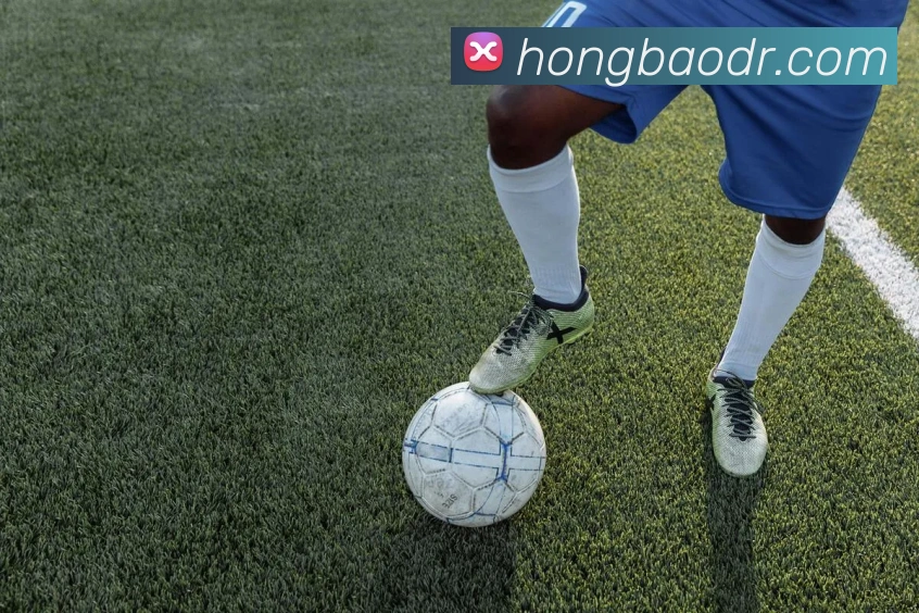 b体育网服务体系